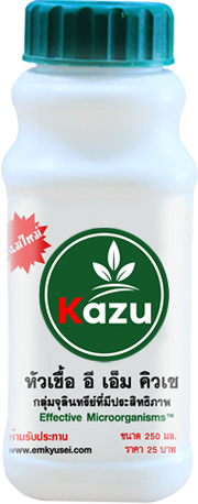 หัวเชื้อ อี เอ็ม คิวเซ ขนาด 250 มิลลิลิตร